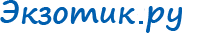 Экзотик.Ру