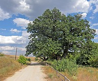Ольховка - экскурсия в монастырь