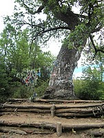 Ольховка - экскурсия в монастырь