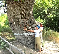 Ольховка - экскурсия в монастырь